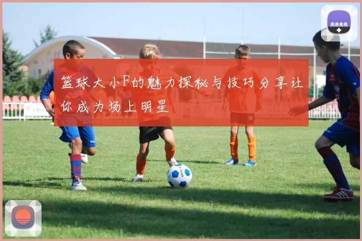 篮球大小F的魅力探秘与技巧分享让你成为场上明星