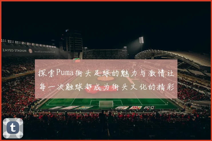 探索Puma街头足球的魅力与激情让每一次触球都成为街头文化的精彩瞬间