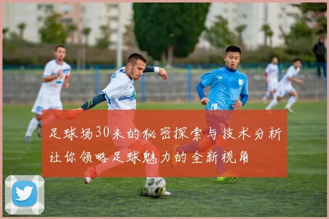 足球场30米的秘密探索与技术分析让你领略足球魅力的全新视角
