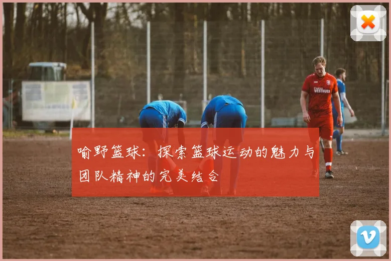 喻野篮球：探索篮球运动的魅力与团队精神的完美结合